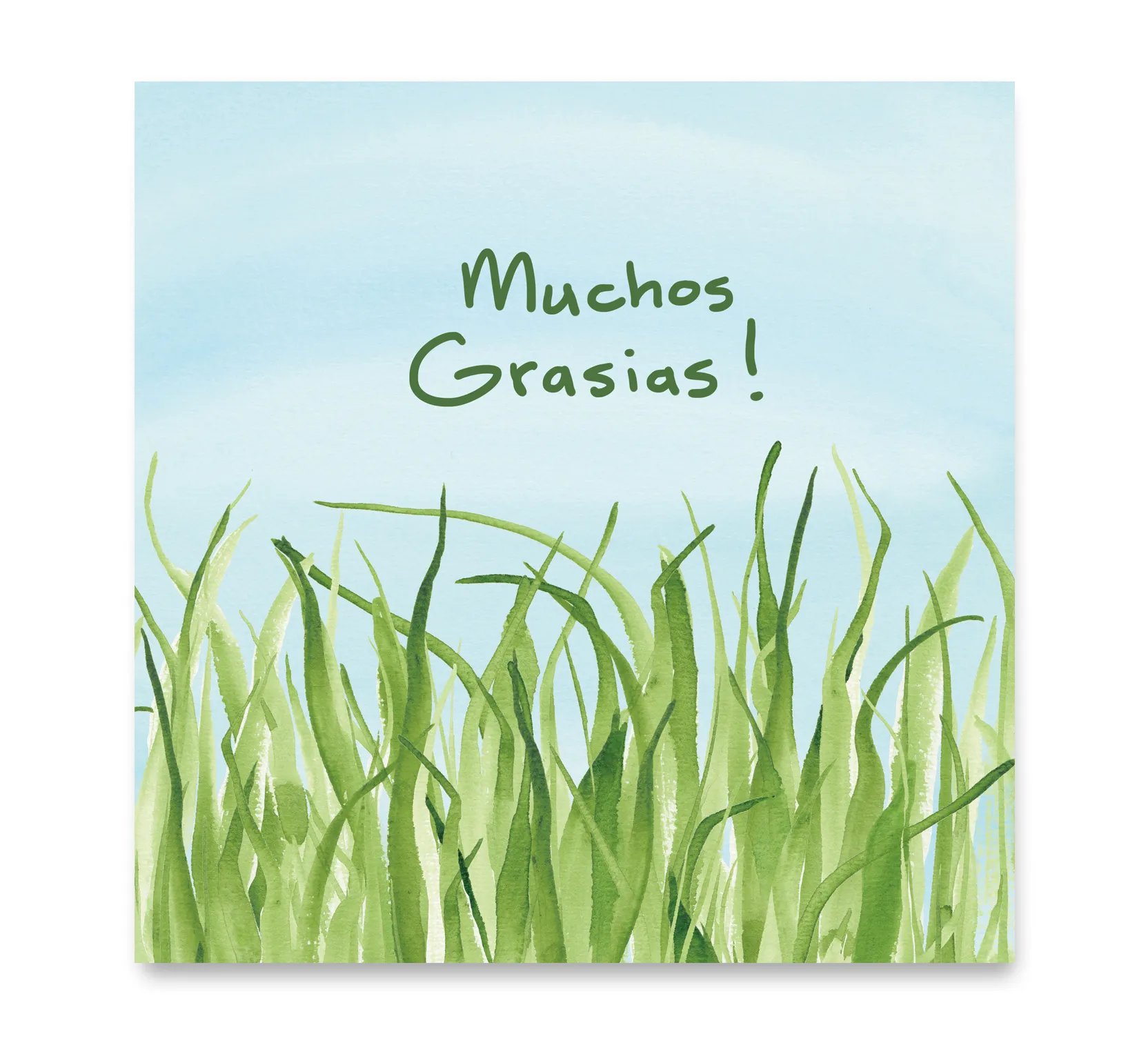 Muchos Grasias — Art by Margreet Rijlaarsdam